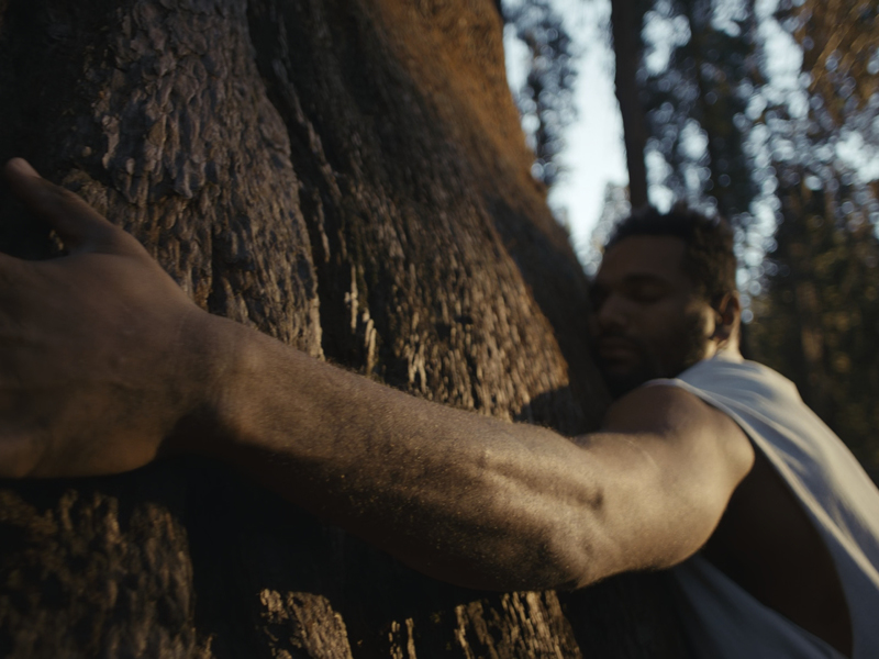 Event Image: Films.Dance Screening