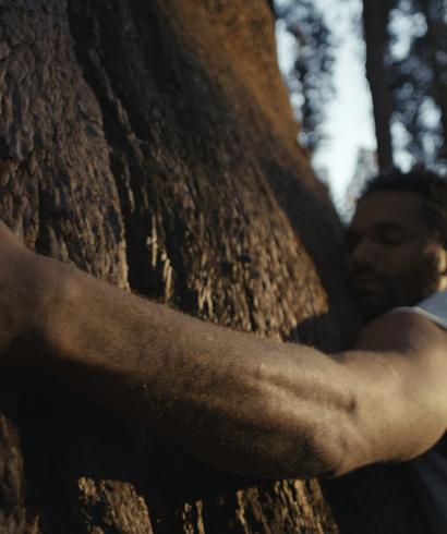 Event Image: Films.Dance Screening