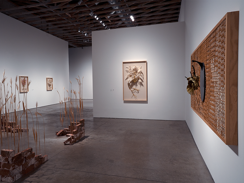 Event Image: Casey Curran: Tidal Sky