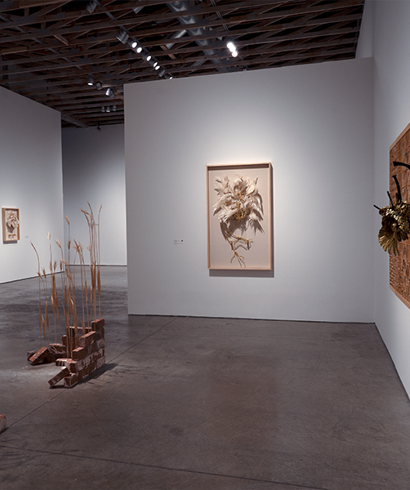 Event Image: Casey Curran: Tidal Sky